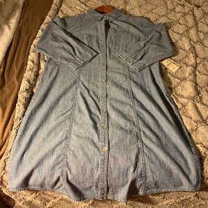 Classic Fall 🍁 Denim Shirt Dress